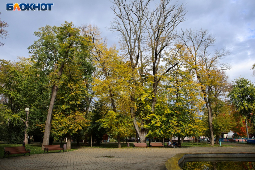 Последний рабочий день в Краснодаре будет солнечным