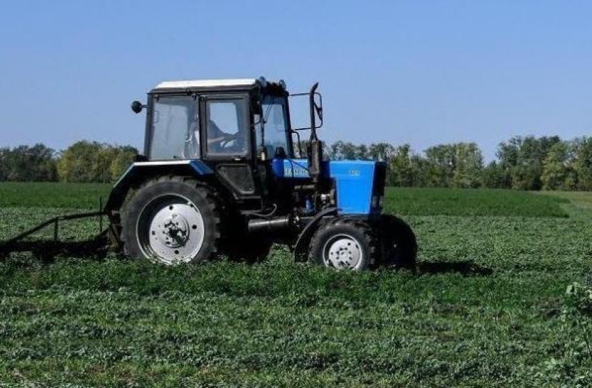 Фермеры Кубани нашли решение, как использовать невостребованные земли