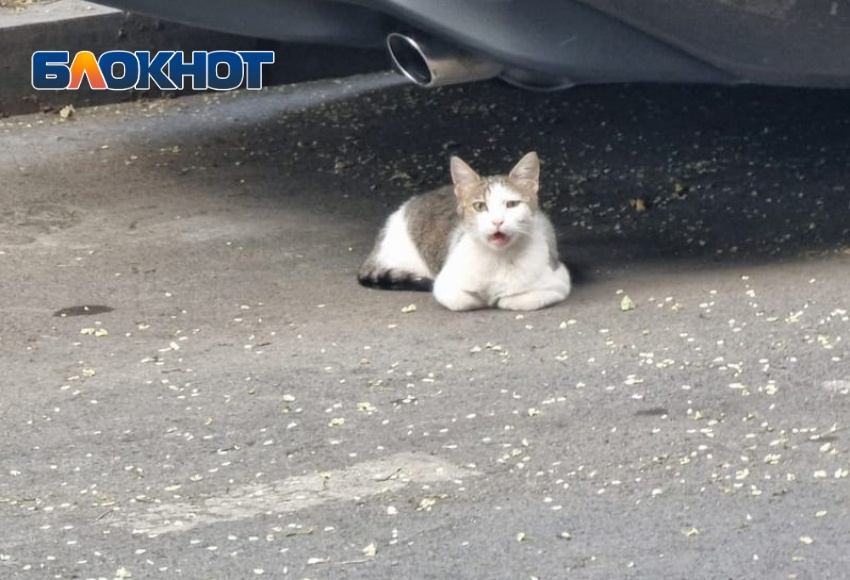 Еще на несколько градусов упадет температура воздуха в Краснодарском крае 