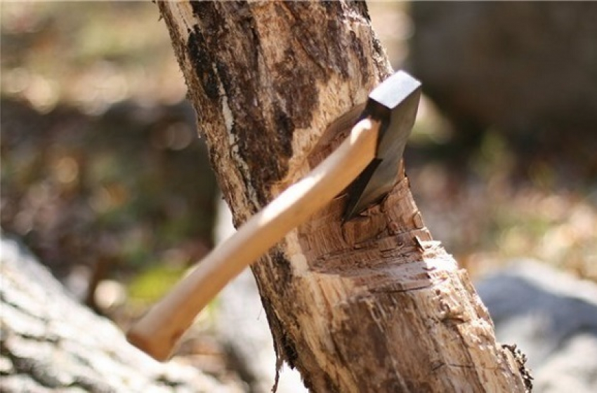 Лесоруб случайно убил подростка в Славянском районе 