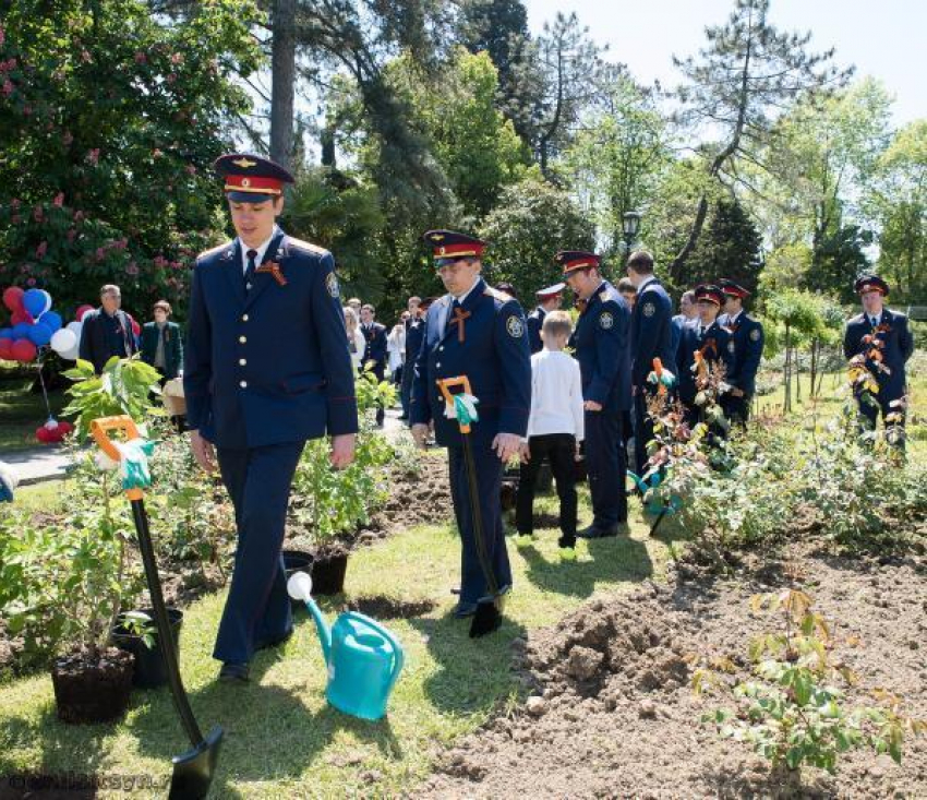 Сочинские следователи высадили в честь Дня Победы аллею сакур