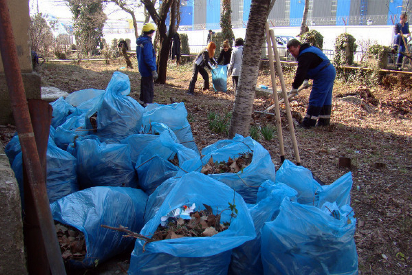 Волонтеры Сочи протестуют: «Нам надоело убирать ваш мусор»