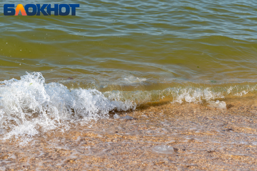 Землетрясение магнитудой 4,8 произошло в Азовском море 