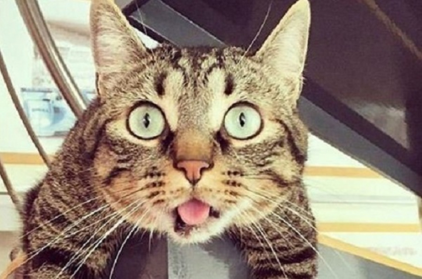 В Краснодаре ожидается потепление до плюс 18 градусов