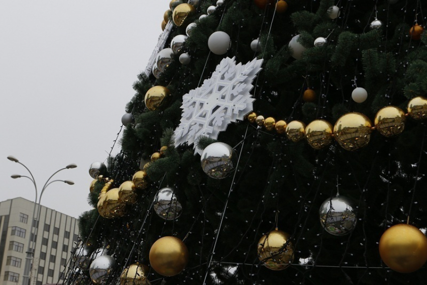  В Краснодаре устроят праздник по случаю открытия главной новогодней елки 