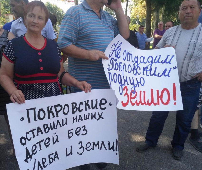  «Спасите нас от концерна «Покровский»: Кубанские фермеры вышли на пикет, не обошлось без провокаций