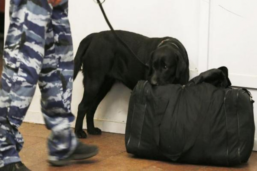 Работников бизнес-центра в Краснодаре эвакуировали из-за угрозы взрыва