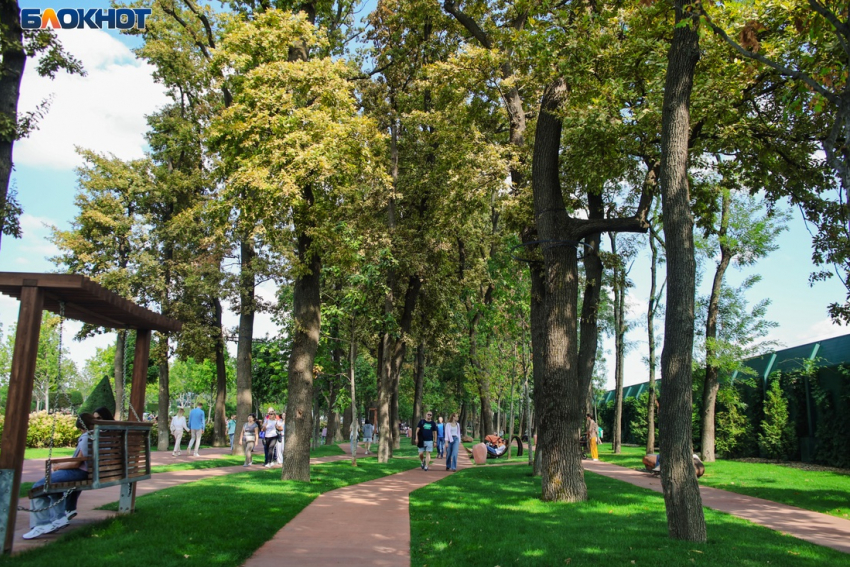 В ожидании очередного «бабьего лета» : разогреется ли Краснодар до +30 в октябре