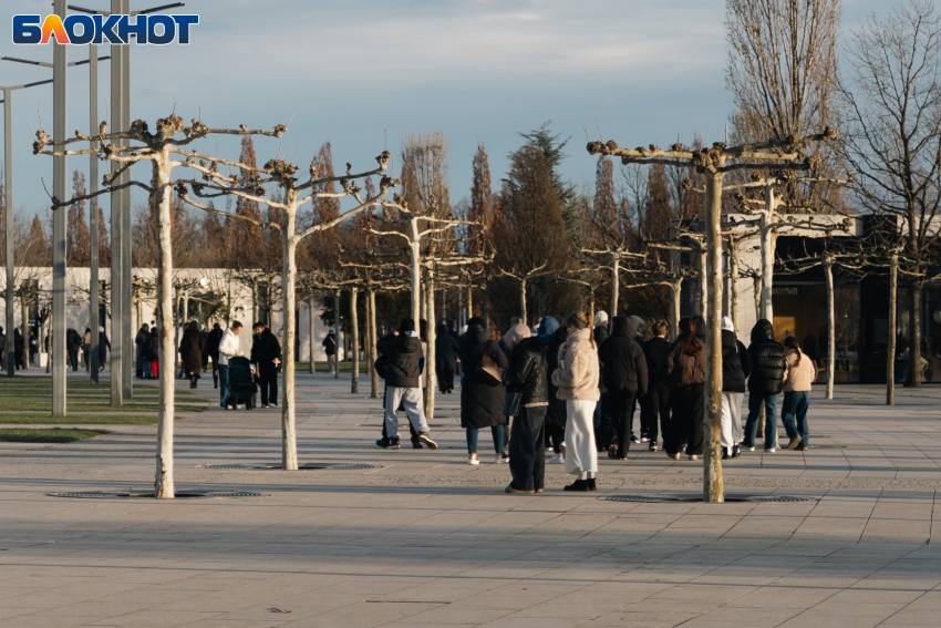 Последний день января подарит краснодарцам тепло