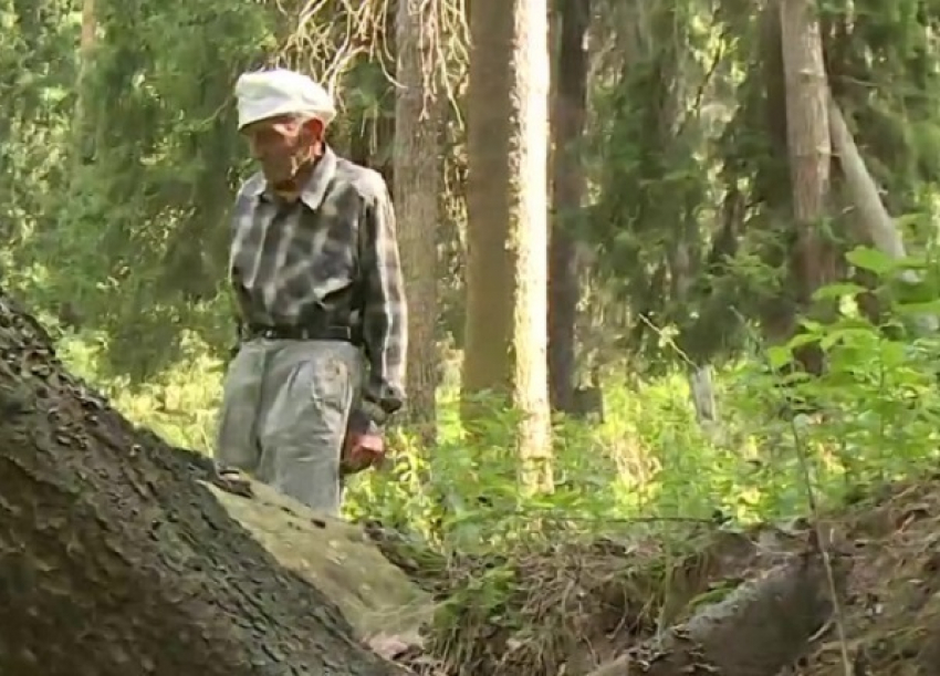 Пенсионер из Сочи провел всю ночь в лесу 