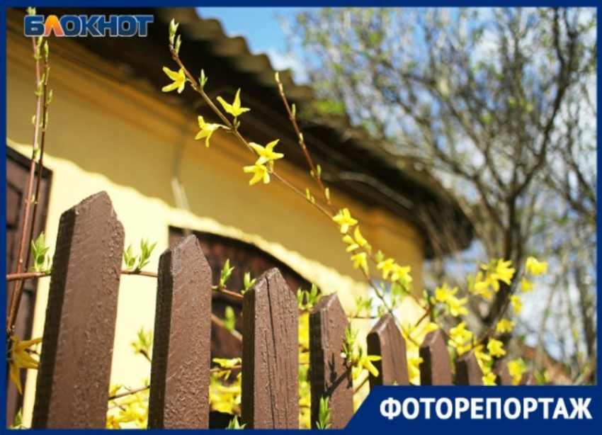 Яркий весенний день в Краснодаре