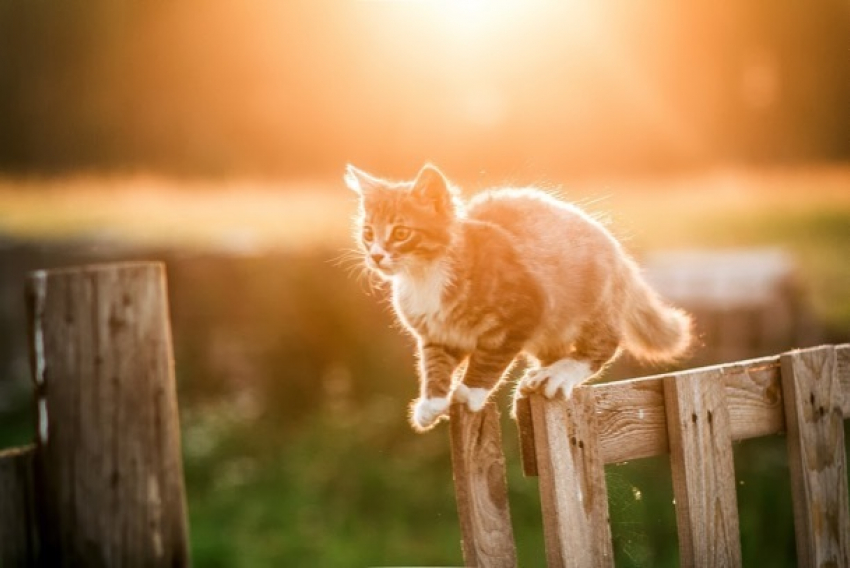 Суббота в Краснодаре будет солнечной и теплой