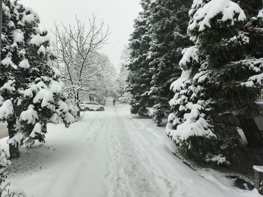 Краснодар готовится к новому снежному нашествию
