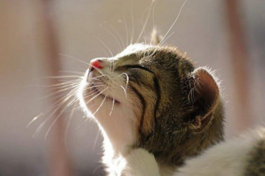 Осень позиций не сдает: в первый день зимы на Кубани тепло и солнечно