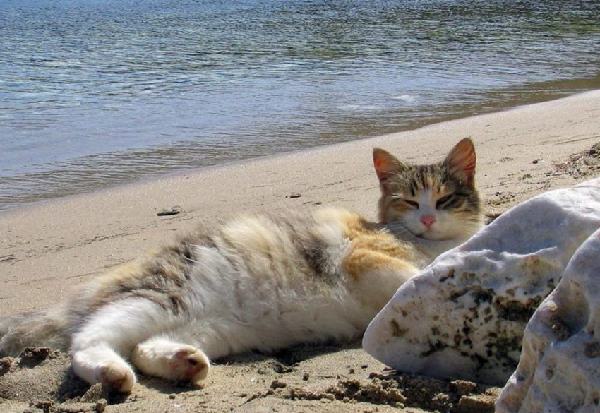 На Кубани в воскресенье солнечно, но зноя не будет