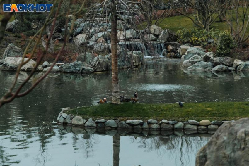 От +16 до -2 градусов: температурные качели обрушатся на Краснодар на Масленицу 