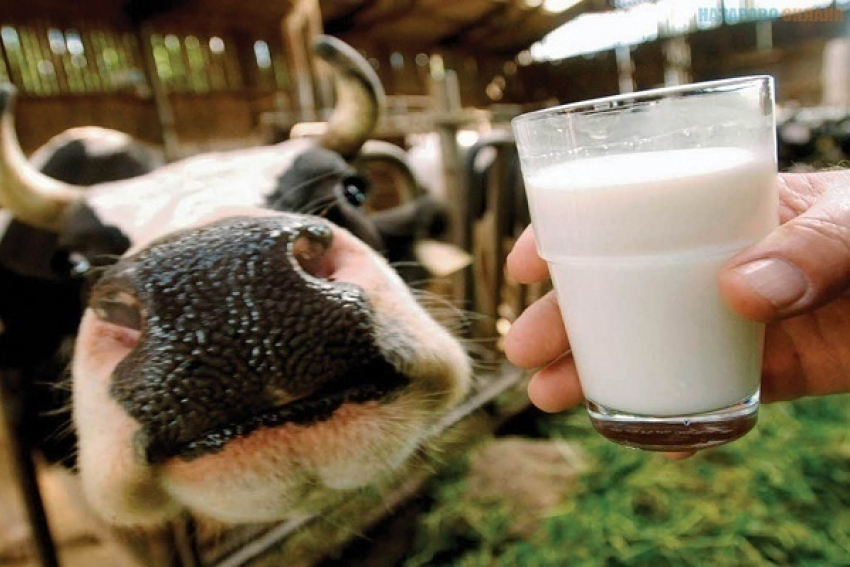 В торговой сети «Магнит» нашли поддельную молочную продукцию