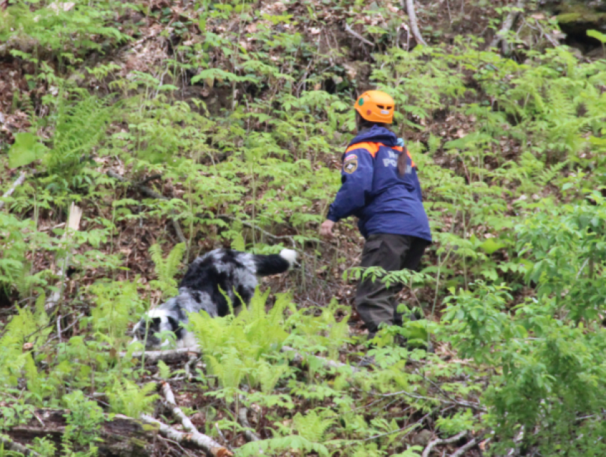 Проведение поиска спасателя под угрозой: на горе в Сочи продолжаются оползни