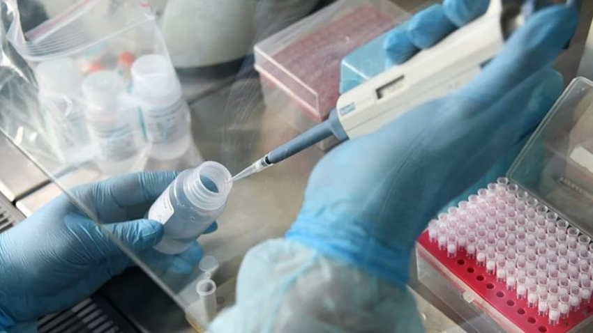 Краснодар продолжает держать первое место по заболеваемости коронавирусом 