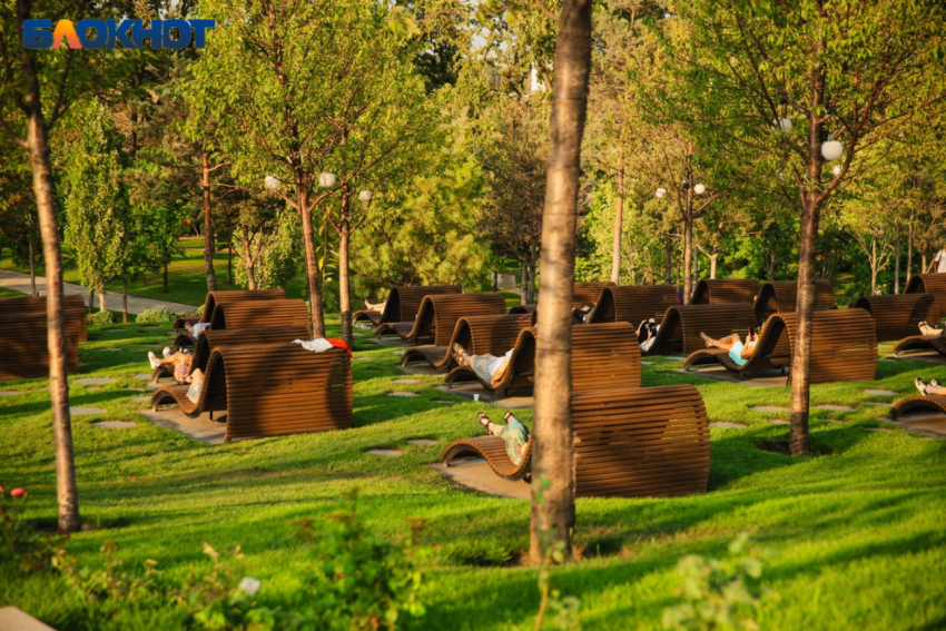 Жара под +35 градусов ждёт Краснодар среди недели