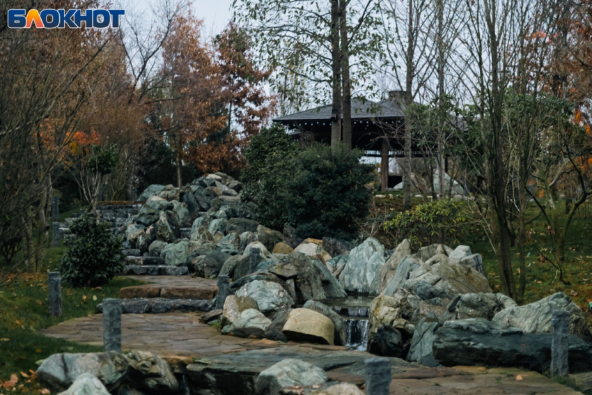 Короткая рабочая неделя начнется с дождя и сильного ветра в Краснодаре 