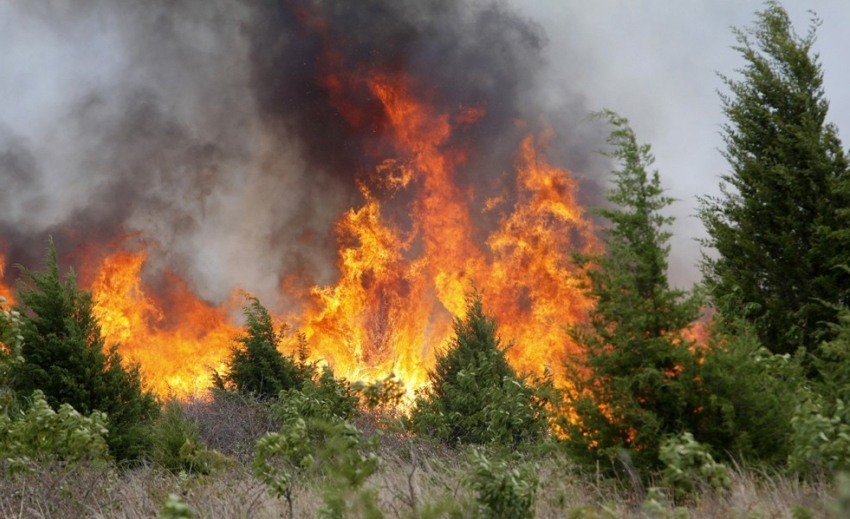Экстренное предупреждение по пожароопасности объявили на Кубани 