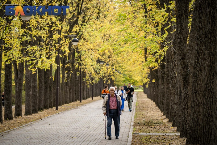 Бабье лето вернётся в Краснодар во второй половине ноября 