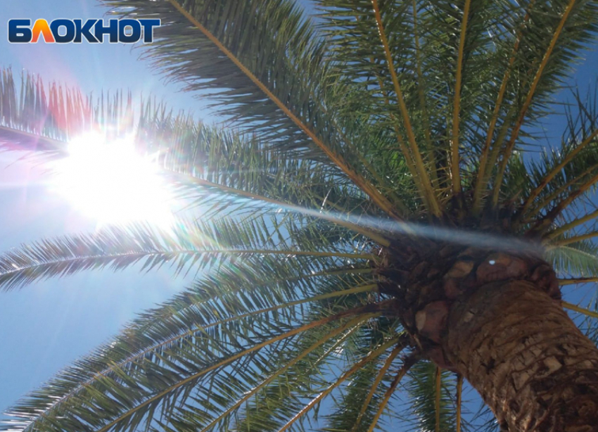 Краснодар туристический: где найти гостей и клиентов