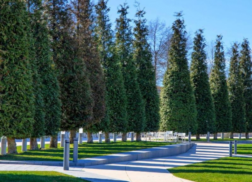 Краснодарский фотограф заснял весеннее преображение парка Галицкого