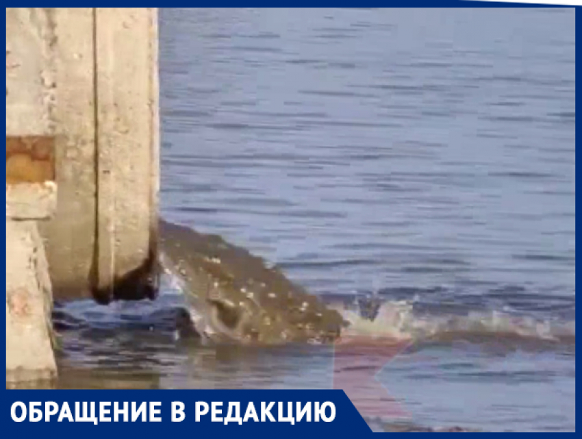 Краснодарец снял на видео слив сточных вод в Кубань и попросил администрацию о проверке