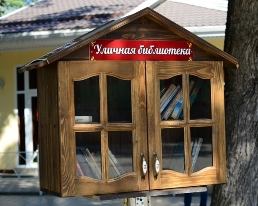 В Краснодаре вандалы сожгли уличную библиотеку 