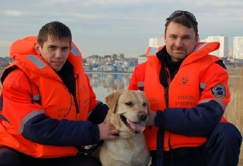 В Новороссийске спасли от смерти лабрадора, который провалился под лед