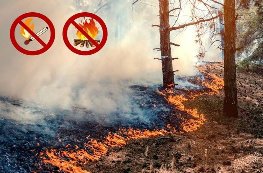 В Краснодаре ввели особый противопожарный режим