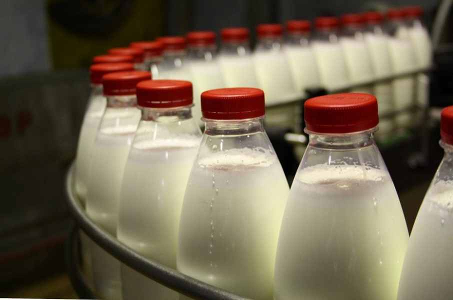 Краснодарский край занимает второе место в России и первое в ЮФО по производству молочной продукции