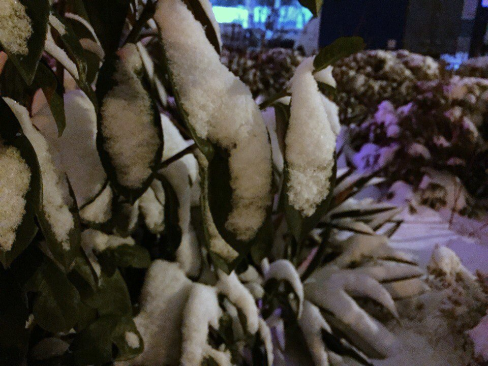 На Кубань пришла зима и 15-градусные морозы