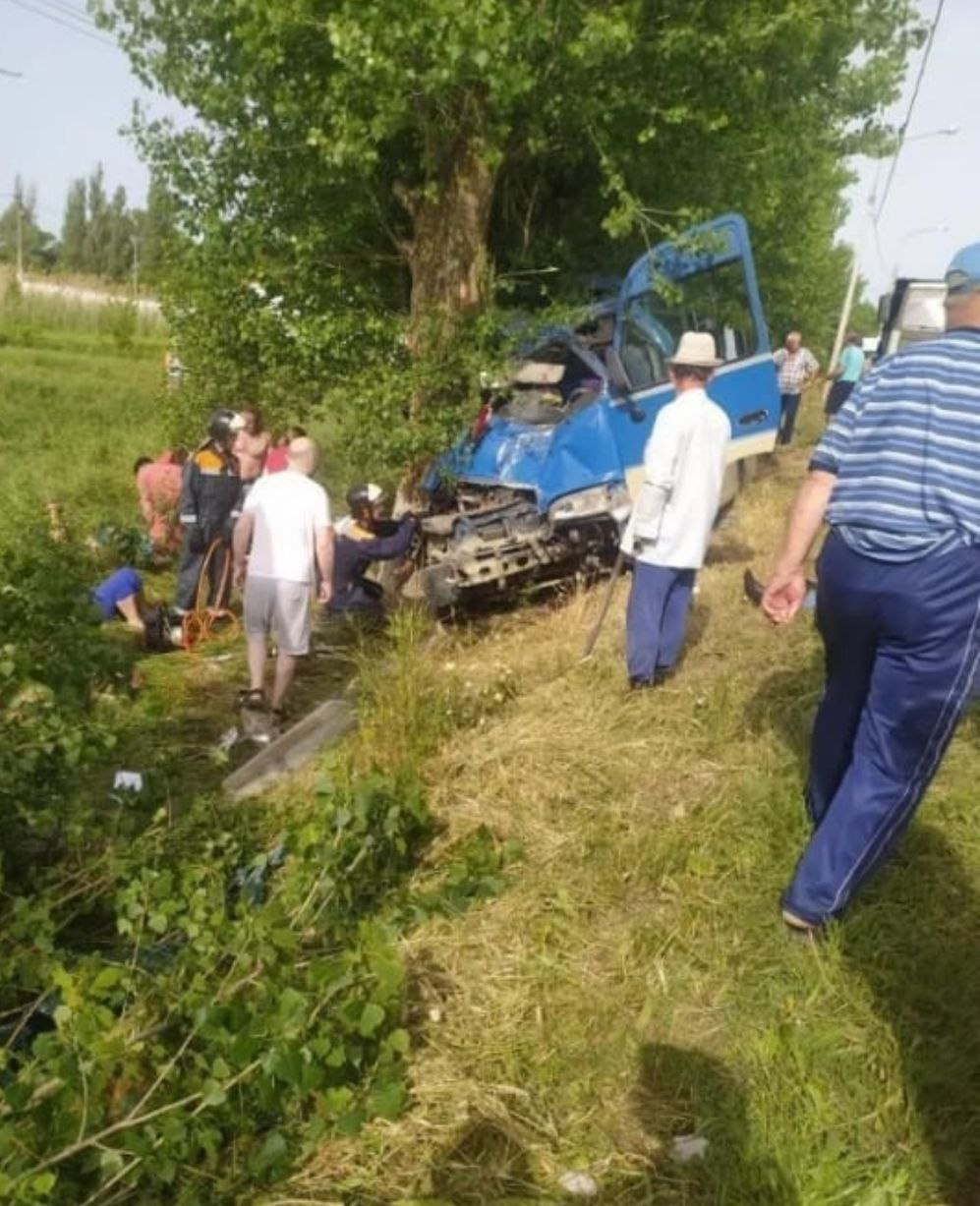 В Краснодарском крае автобус врезался в дерево: 4 погибших и 15 раненых