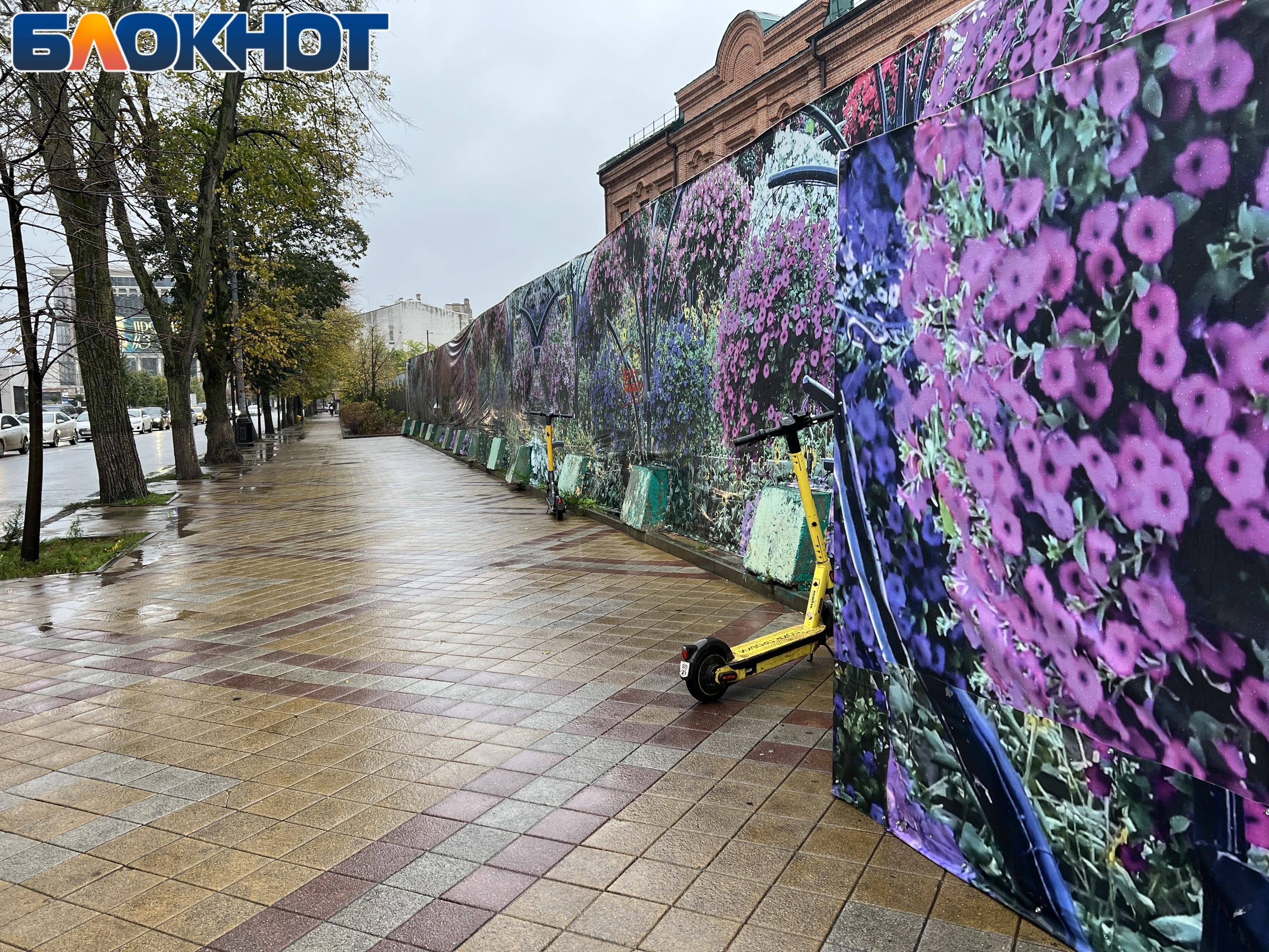 Брошенные электросамокаты заполонили улицы Краснодара