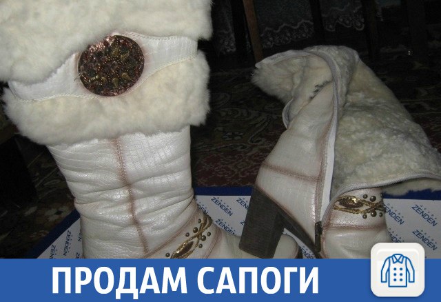 UcTaTqeT4hs.jpg