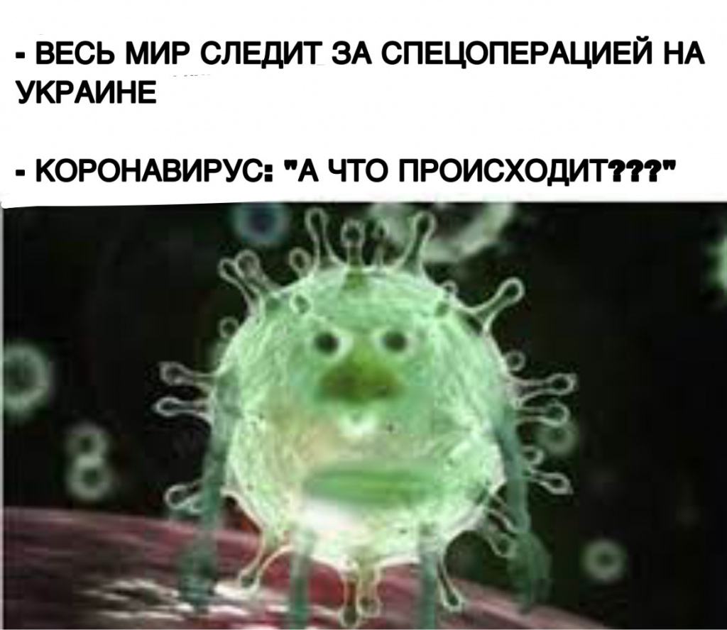 А что происходит?»: мемы краснодарцев про забытый коронавирус взрывают  соцсети