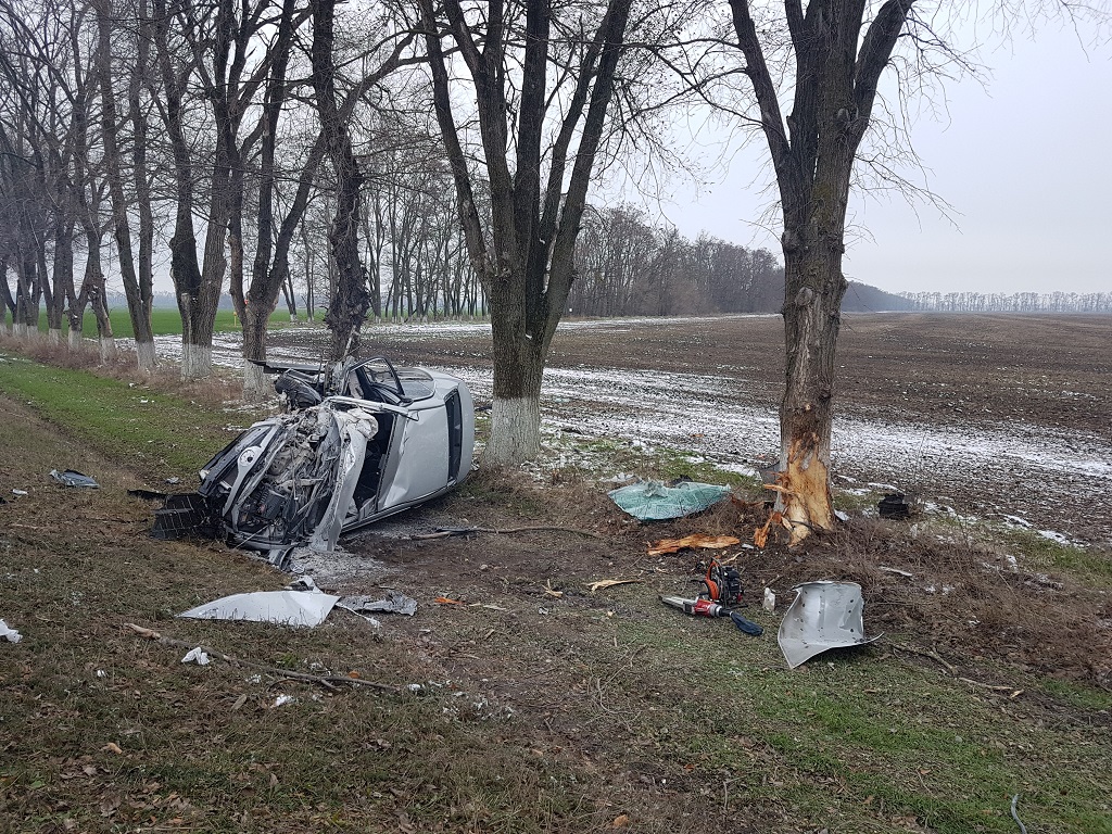 На Кубани Toyota Camry сгорела, врезавшись в дерево: погибли два человека